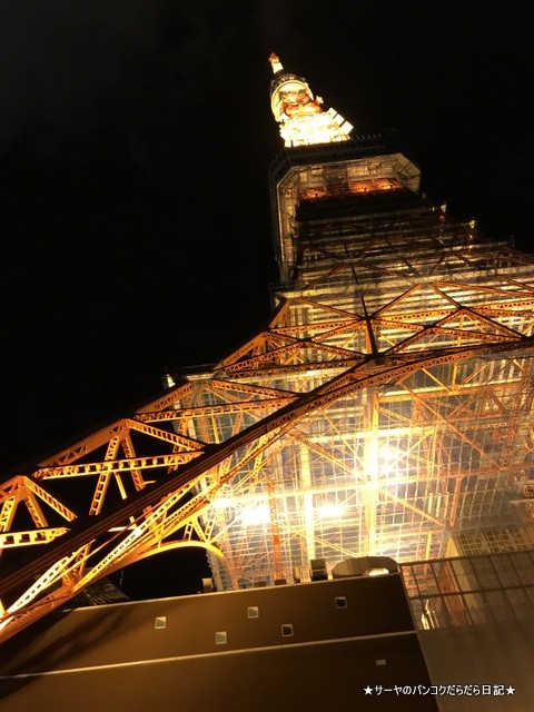 hatobus tour はとバスツアー TOKYO NIGHT (5)