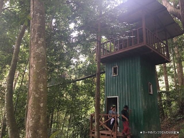 0 ポーリン温泉 Poring Hot Spring マレーシア (22)