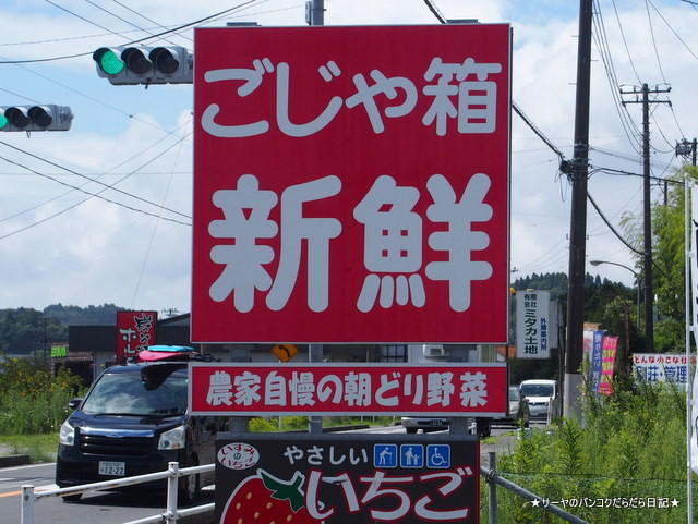 ごじゃ箱 岬 千葉県 MISAKI ISUMI CHIBA