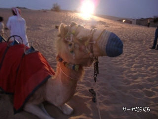 20111230 sabaku 11