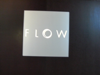 20080127 flow 1