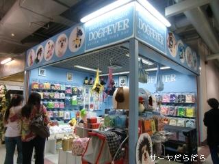20100614 dog fever 1