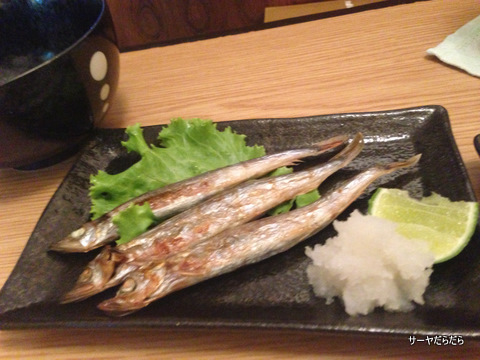 koga 9