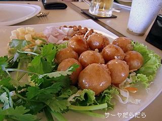 20100724 ロータス バレイ 10