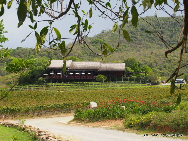 ホアヒンヒルズ ヴィンヤード Hua Hin Hills Vineyard