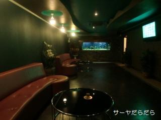 20100413 ハリウッド 3