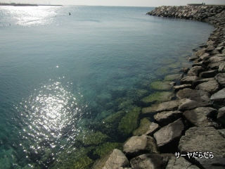20111230 ジュメイラモスク 8