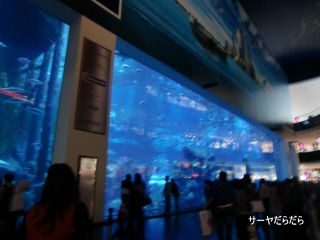 20111230 DOBAI MALL 2