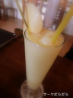 20100721 うら庭 2