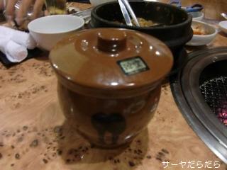 20100410 ホルモン