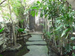 20090914 PATA ZOO 20