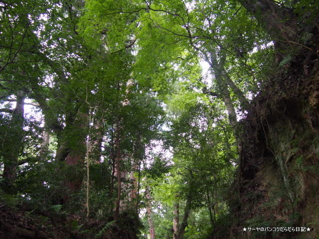 笠森観音 KASAMORI KANNON CHIBA 長生郡