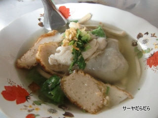 20110705 plean wan 4