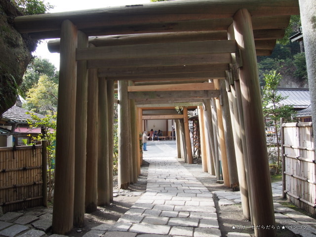 銭洗弁財天宇賀福神社 zehiarai benten kamakura