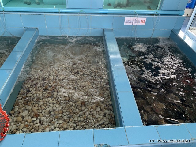 Preecha Seafood プリチャーシーフード (10)