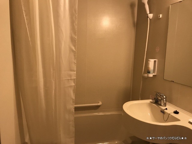 toyoko inn 東横イン フランクフルト (6)