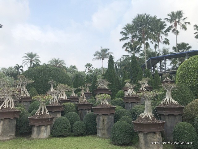 ノンヌットトロピカル Nong Nooch Tropical パタヤ 観光 (6)