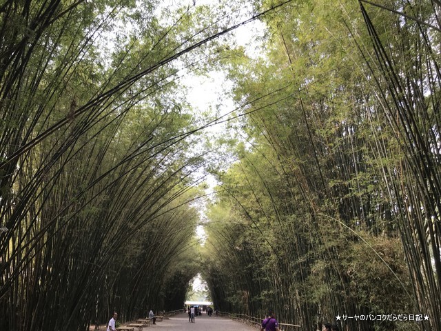 Chulabhorn Wanaram temple ナコンナヨック 嵐山 (11)