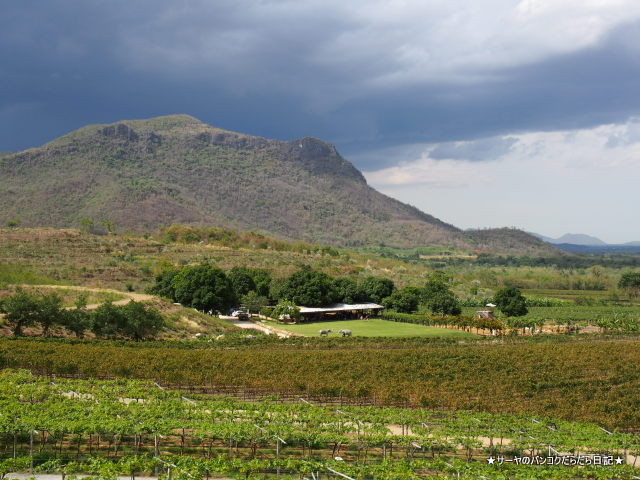 ホアヒンヒルズ ヴィンヤード Hua Hin Hills Vineyard