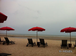 20110708ヤイヤー 1