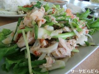 20100620 ラチャクラム 10