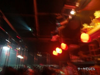 20101106 seek 3