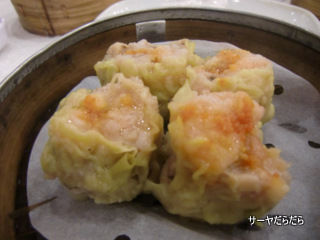 20111211 timsam 5