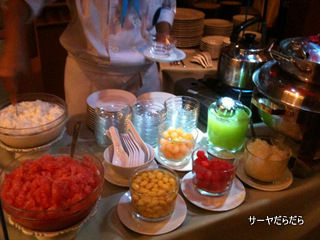 20110205 stella palace 16-1
