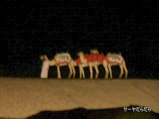 20111230 sabaku 13