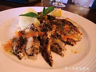 20100721 うら庭3