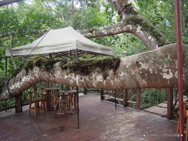 The Giant Chiangmai チェンマイ 秘境 絶対 おすすめ
