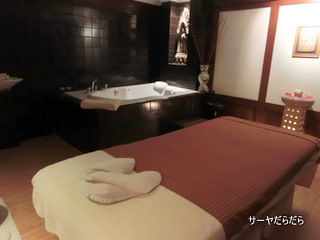 20121122 neva spa 3