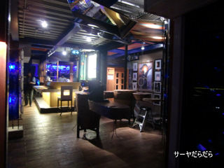 20110405 roof 6
