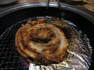20100410 ホルモン