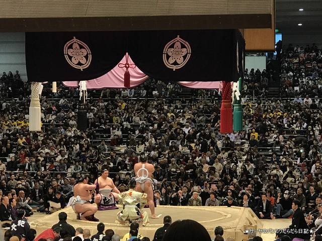  2019 齩ڡOSAKA sumo japan (19)