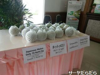 20100620 ラチャクラム 5