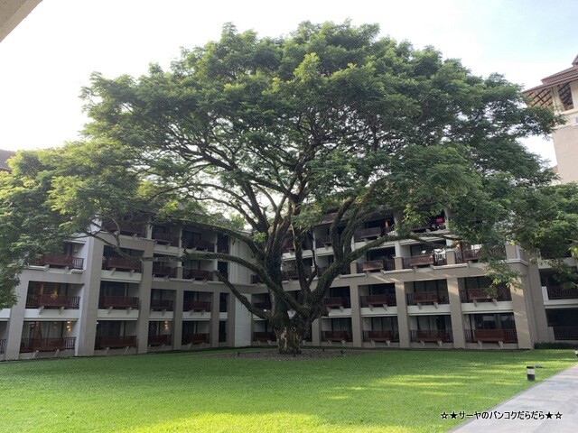 ¥ë ¥á¥ê¥Ç¥£¥¢¥ó ¥Á¥§¥ó¥é¡¼¥¤ ¥ê¥¾¡¼¥È chiangrai resort (21)