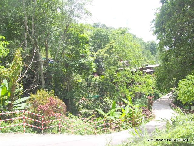 The Giant Chiangmai チェンマイ 秘境 絶対 おすすめ
