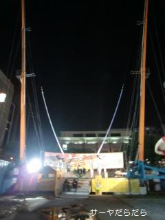 20100318 carnival 5