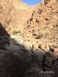 20120107 WADI SHAB 21