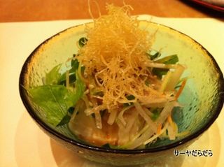 梅の花6