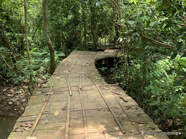 タムルアンクンナムナン非森林公園 Khunnam Nangnon (8)
