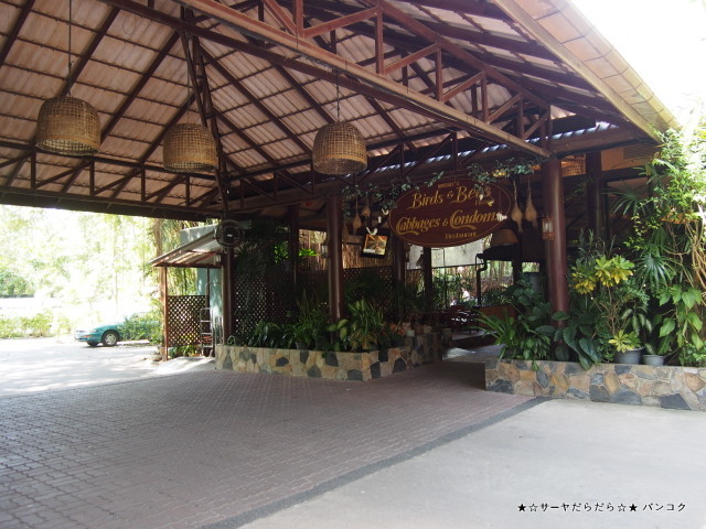 Cabbages & Condoms Restaurant at ジョムティエンビーチ パタヤ