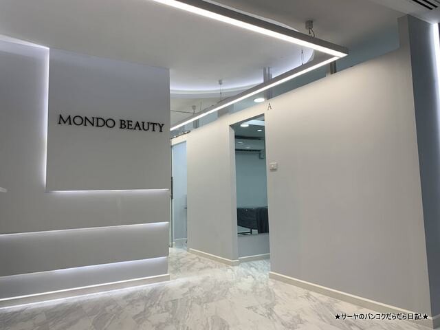 MONDO BEAUTY ソニックフィット ハイフ HIFU (6)