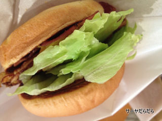 フレッスネスバーガー