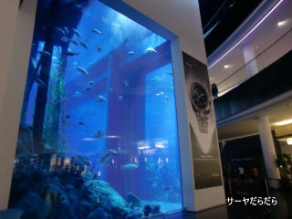 20111230 DOBAI MALL 1