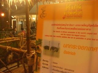 20091016 KING JUNGLE 7