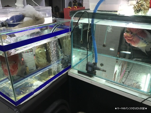 Sen Xing Fa Tea shop バンコク 中華街 茶屋 ジャスミン (7)