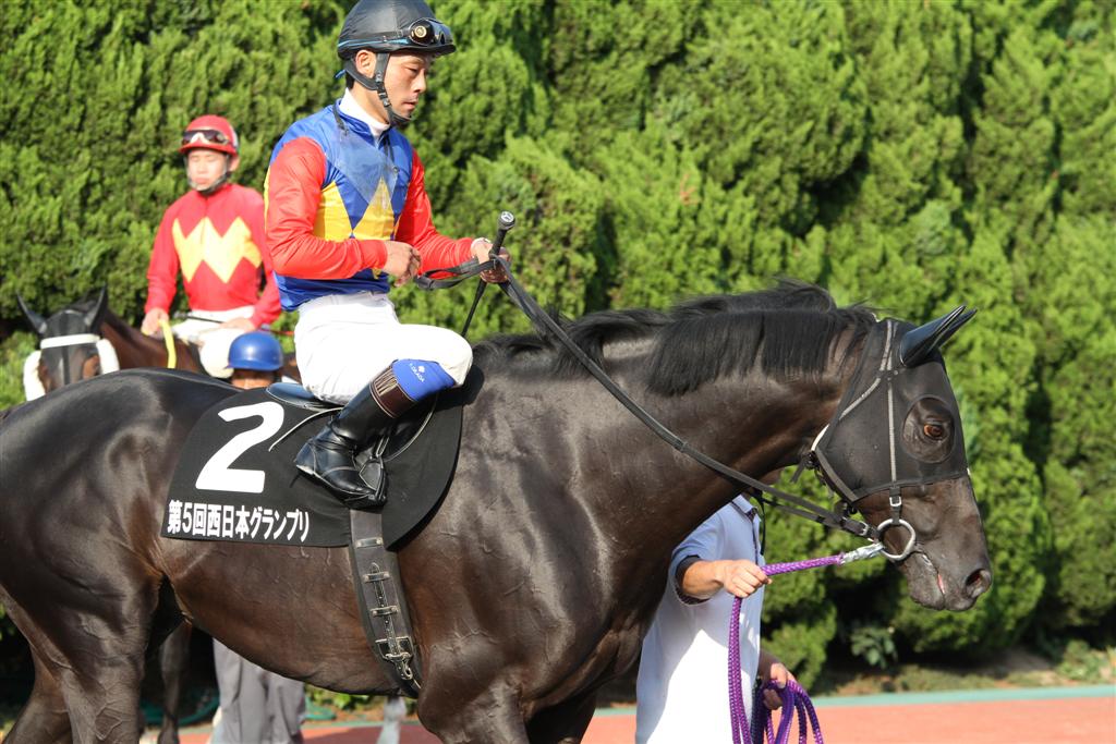 グランシュヴァリエ 12 06 10 第5回 西日本グランプリ 福山競馬場 クロミちゃんの競馬日記