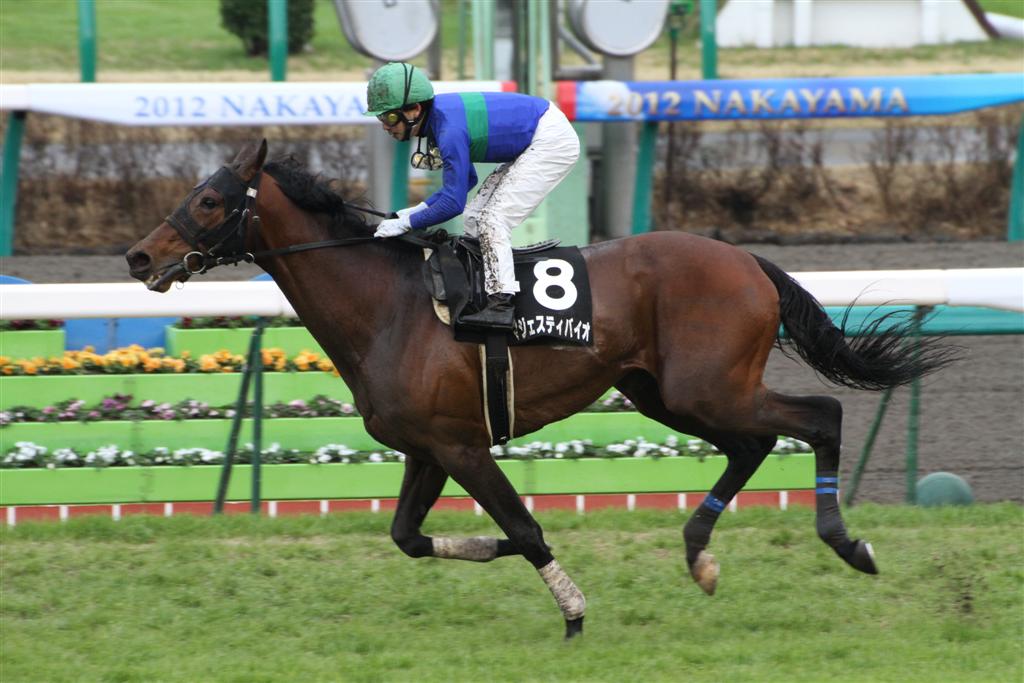 クロミちゃんの競馬日記                        クロミ
